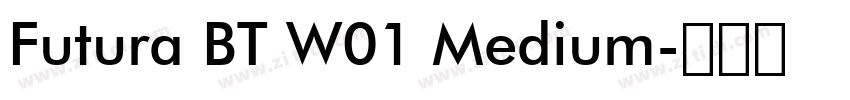 Futura BT W01 Medium字体转换